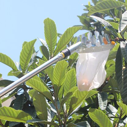 Orchard and Garden Fruit Picking Tool - Image 2