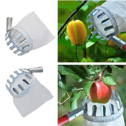 Orchard and Garden Fruit Picking Tool - Image 3