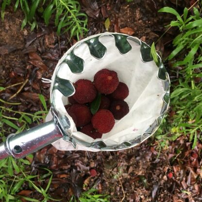 High Tree Fruit Collector - Image 2