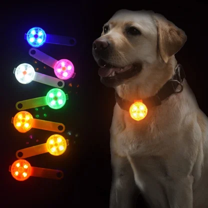Night Guard Luminous Collar