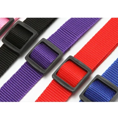 Pet Travel Car Strap - Image 13