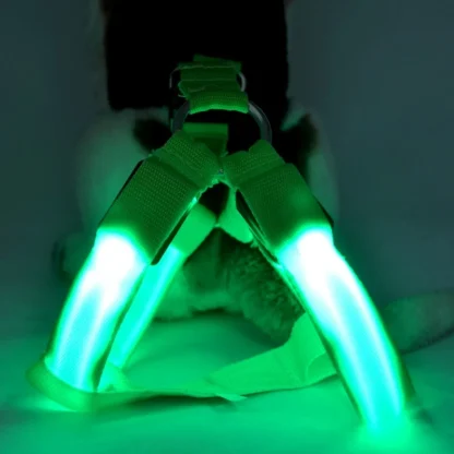 Adjustable LED Dog Leash - Image 8