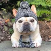 Warm Puppy Beanie Hat - Image 3
