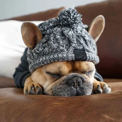 Warm Puppy Beanie Hat - Image 2