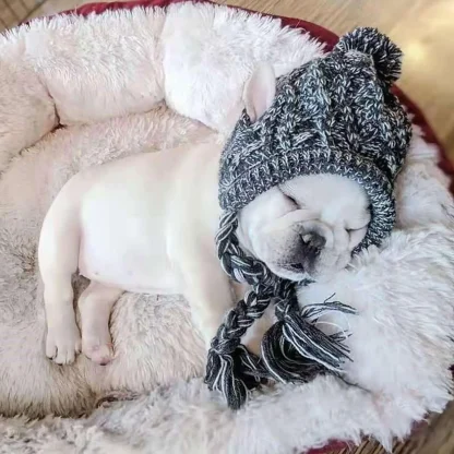 Warm Puppy Beanie Hat - Image 5