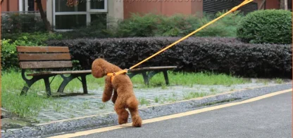 Adjustable LED Dog Leash - Image 11