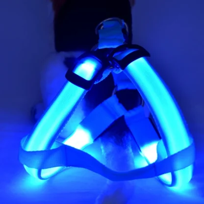 Adjustable LED Dog Leash - Image 9