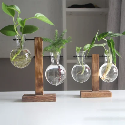 Office Hydroponic Bulb Vase - Image 3
