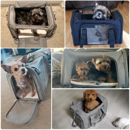 Pet Travel Tote Bag - Image 7