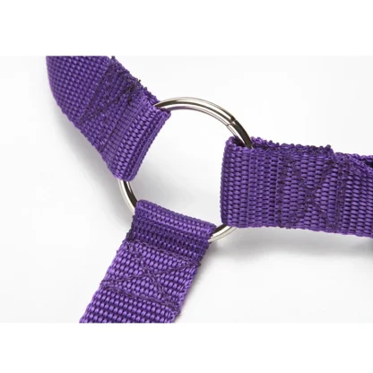 Pet Travel Car Strap - Image 11