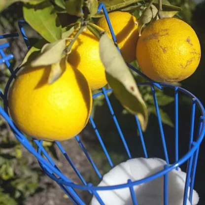 Fruit Picking Tool for Gardeners - Image 3