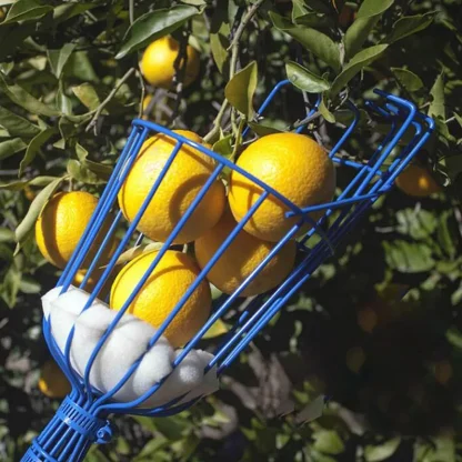 Fruit Picking Tool for Gardeners - Image 4