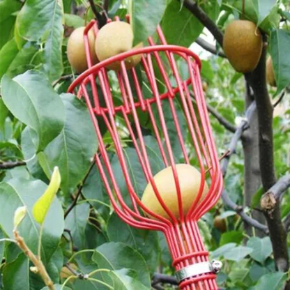 Fruit Picking Tool for Gardeners - Image 2